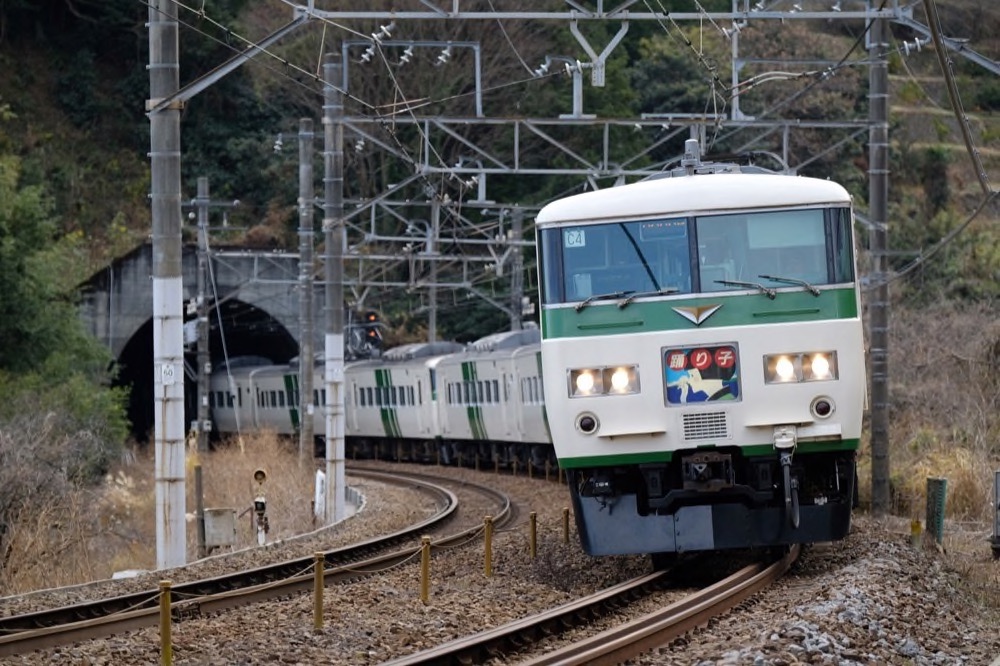 フルムーン夫婦グリーンパス ご案内