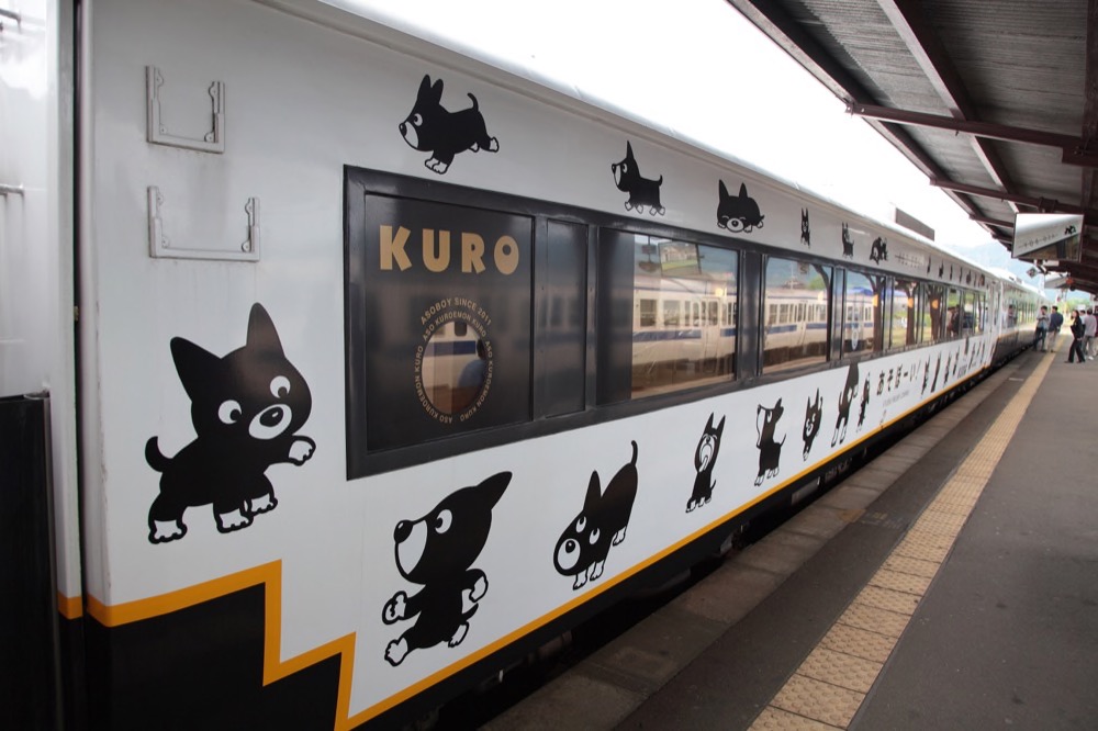 フルムーン夫婦グリーンパス 列車